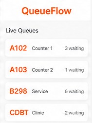 QueueFlow queue display system